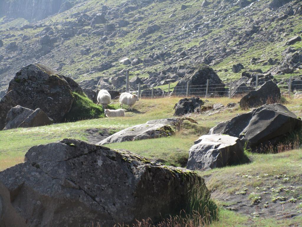 Lindarbrekka Villa Djúpivogur Buitenkant foto